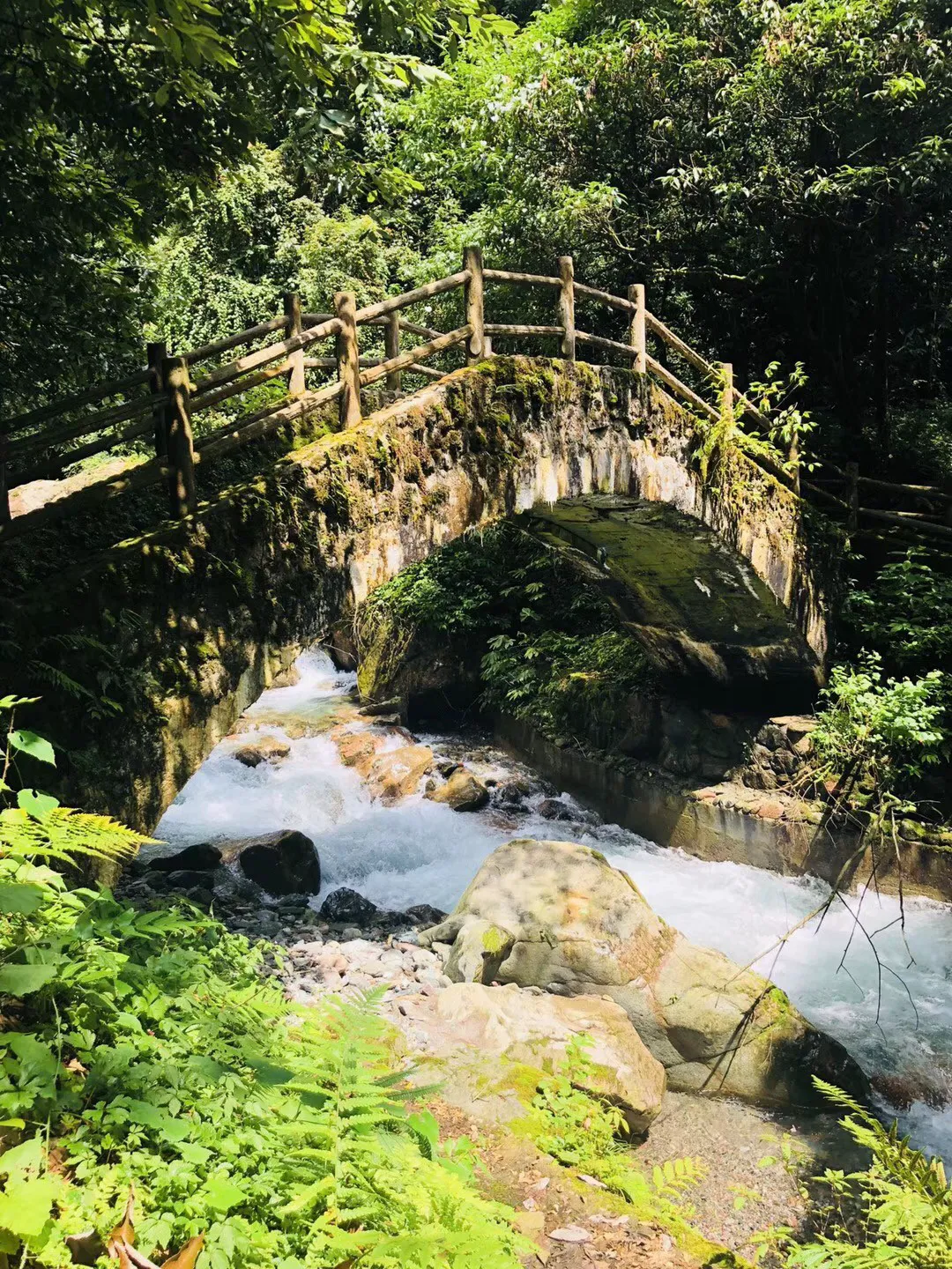 逃离小人国森林